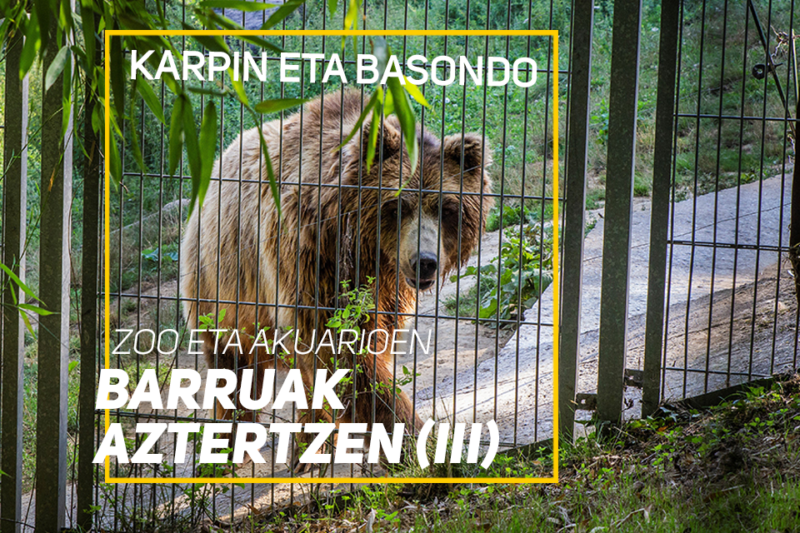 Karpin eta Basondo – Zoo eta akuarioen barruak aztertzen (III)